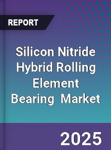 Global Silicon Nitride Hybrid Rolling Element Bearing Industry