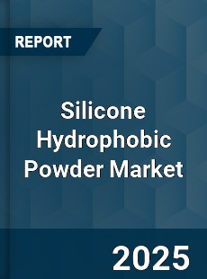 Silicone Hydrophobic Powder Market