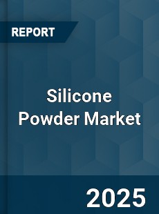 Global Silicone Powder Market