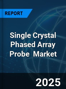 Global Single Crystal Phased Array Probe Industry