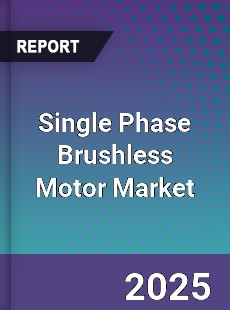 Single Phase Brushless Motor Market