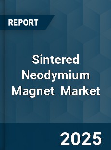 Global Sintered Neodymium Magnet Industry