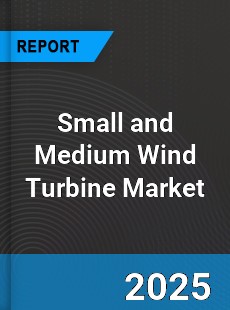 Global Small and Medium Wind Turbine Market