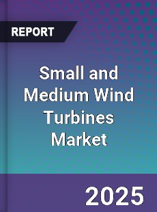 Global Small and Medium Wind Turbines Market