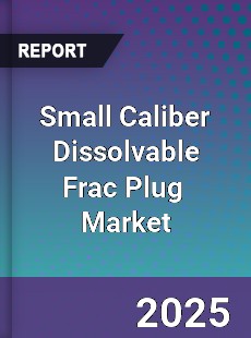Global Small Caliber Dissolvable Frac Plug Industry