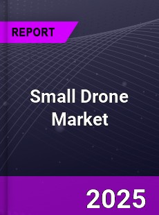 Global Small Drone Market