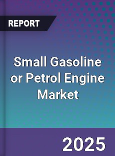 Global Small Gasoline or Petrol Engine Industry