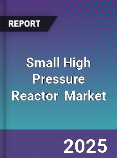 Small High Pressure Reactor Global and China Top Players Market