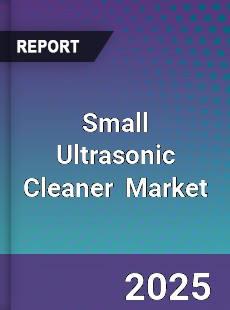 Small Ultrasonic Cleaner Global and China Top Players Market