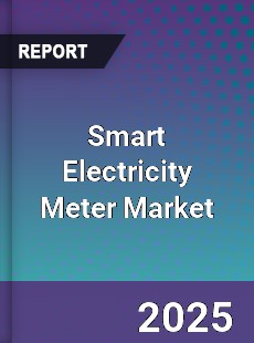 Global Smart Electricity Meter Market