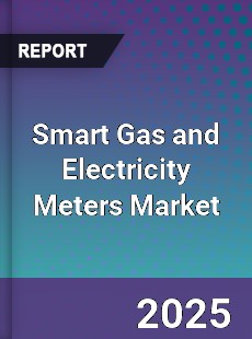 Smart Gas and Electricity Meters Market