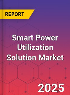 Smart Power Utilization Solution Global and China Top Players Market