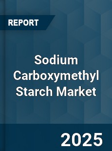Global Sodium Carboxymethyl Starch Market
