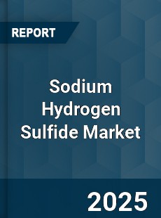Sodium Hydrogen Sulfide Market