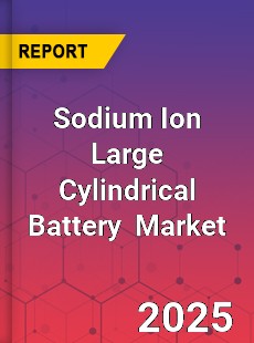 Global Sodium Ion Large Cylindrical Battery Industry