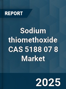 Global Sodium thiomethoxide CAS 5188 07 8 Industry