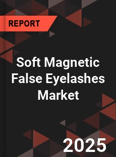 Soft Magnetic False Eyelashes Market