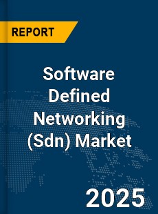 Global Software Defined Networking Market