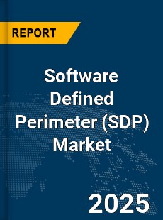 Global Software Defined Perimeter Market