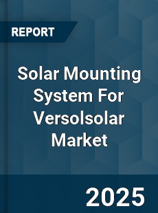 COVID 19 Outbreak Global Solar Mounting System For Versolsolar Industry