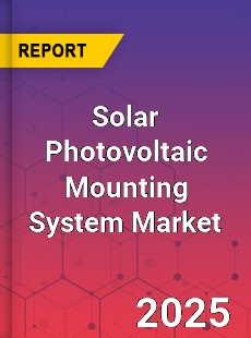 Solar Photovoltaic Mounting System Global and China Top Players Market