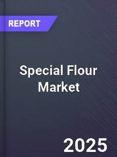 Special Flour Global and China Top Players Market
