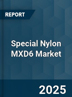 Special Nylon MXD6 Market