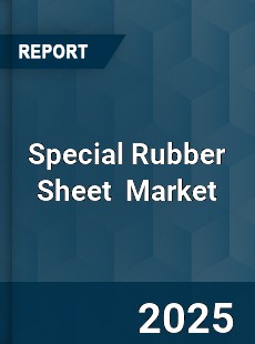 Special Rubber Sheet Global and China Top Players Market