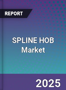 SPLINE HOB Market Industry Analysis Market Size Share Trends