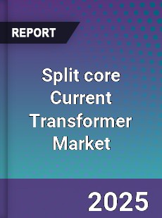 Split core Current Transformer Market