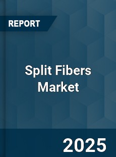 Global Split Fibers Market