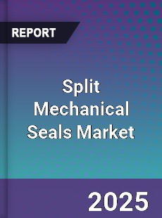 Split Mechanical Seals Market
