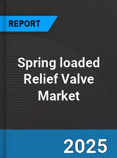 Global Spring loaded Relief Valve Market