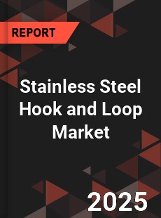 Stainless Steel Hook and Loop Global and China Top Players Market