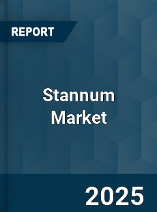 Global Stannum Market