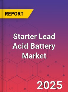 Global Starter Lead Acid Battery Market