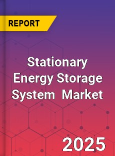 Global Stationary Energy Storage System Industry