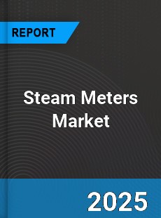 Global Steam Meters Industry