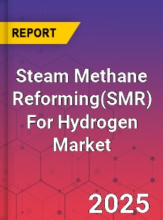 Steam Methane Reforming For Hydrogen Global and China Top Players Market