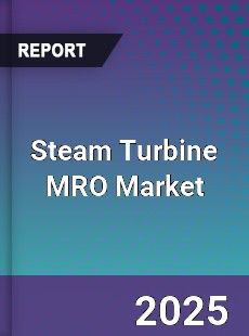 Steam Turbine MRO Market