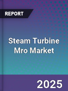 Global Steam Turbine Mro Market