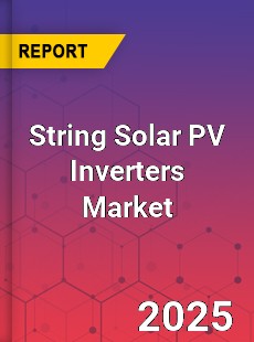 String Solar PV Inverters Global and China Top Players Market