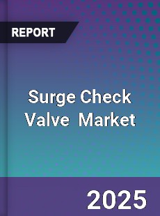 Surge Check Valve Global and China Top Players Market