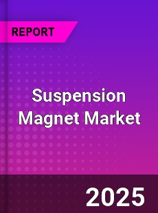 Global Suspension Magnet Market