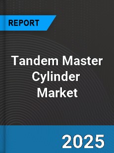 Tandem Master Cylinder Global and China Top Players Market