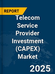 Global Telecom Service Provider Investment Market