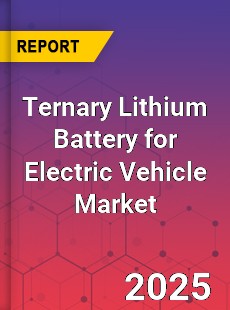 Ternary Lithium Battery for Electric Vehicle Market