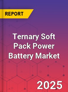 Ternary Soft Pack Power Battery Market