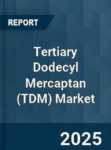 Tertiary Dodecyl Mercaptan Market