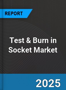 Global Test amp Burn in Socket Industry